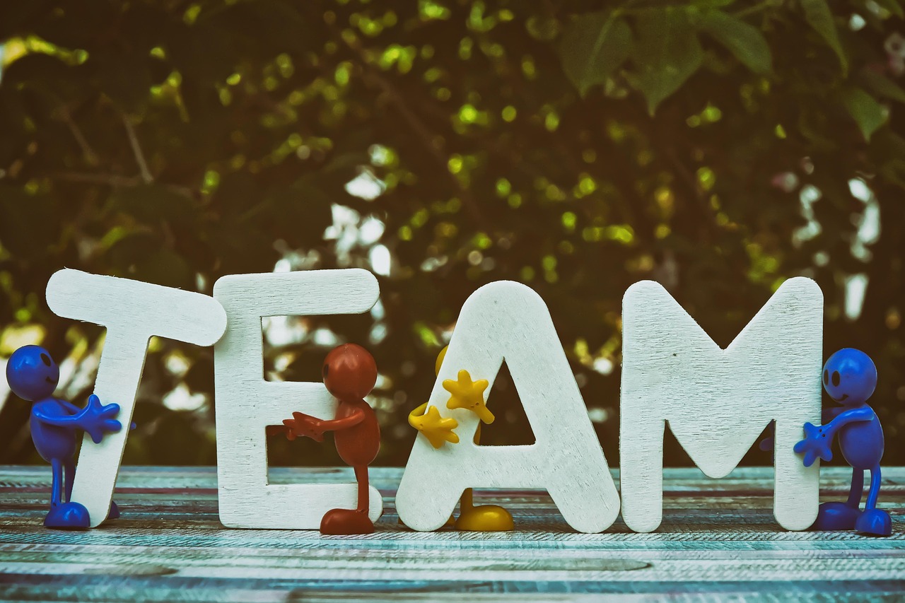 芒果体育娱乐，注册|宁波代理工商注册公司注册