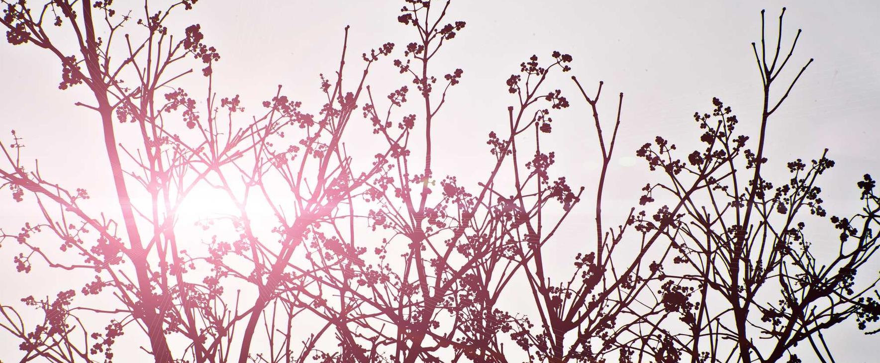 DDOS接单平台|睢宁县社区团购买菜平台