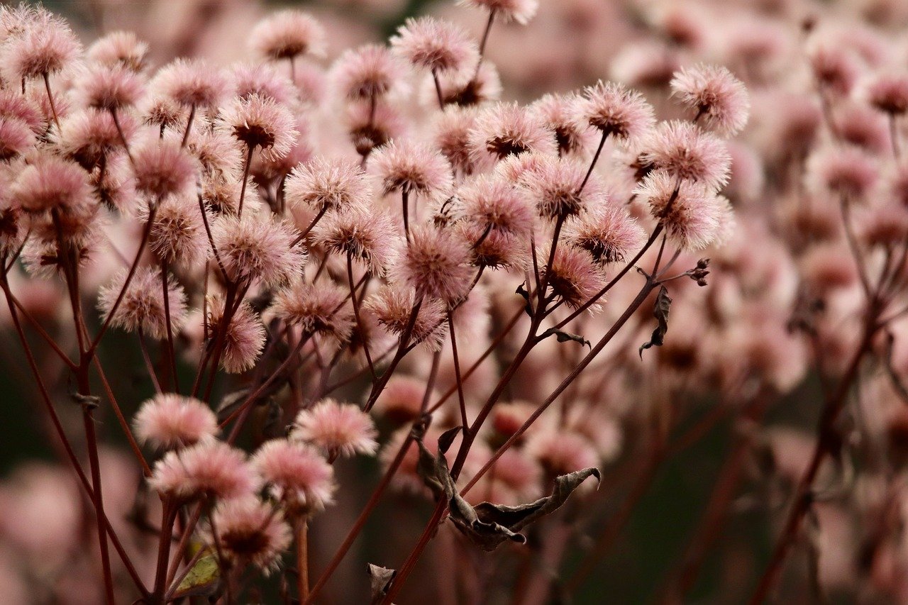 蝙蝠代实名实名账号：门窗代理平台有哪些