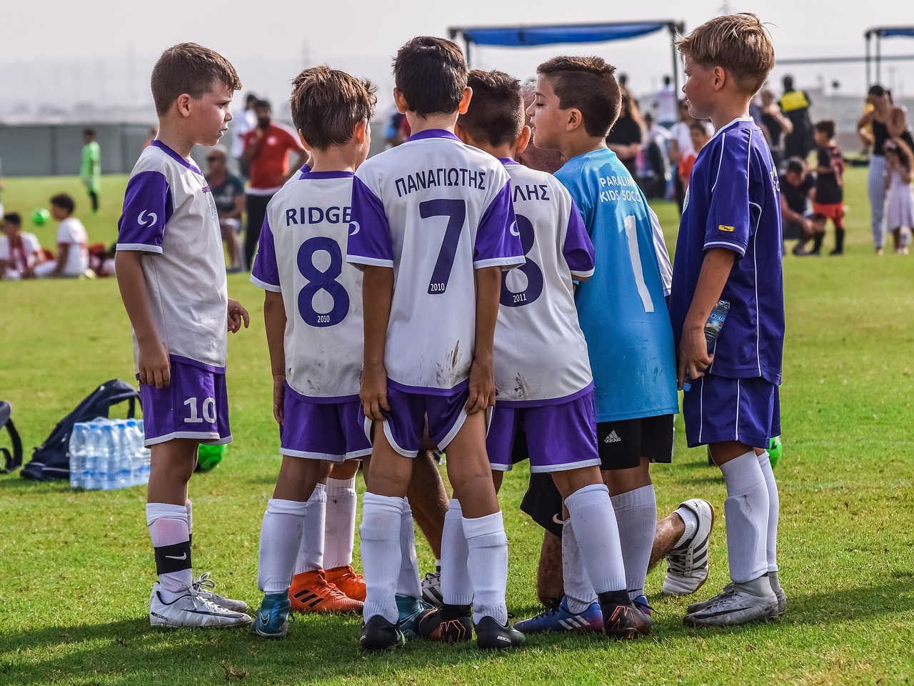 京东实名账号：The Role of Mobile Data in Real-Time Business Decisions