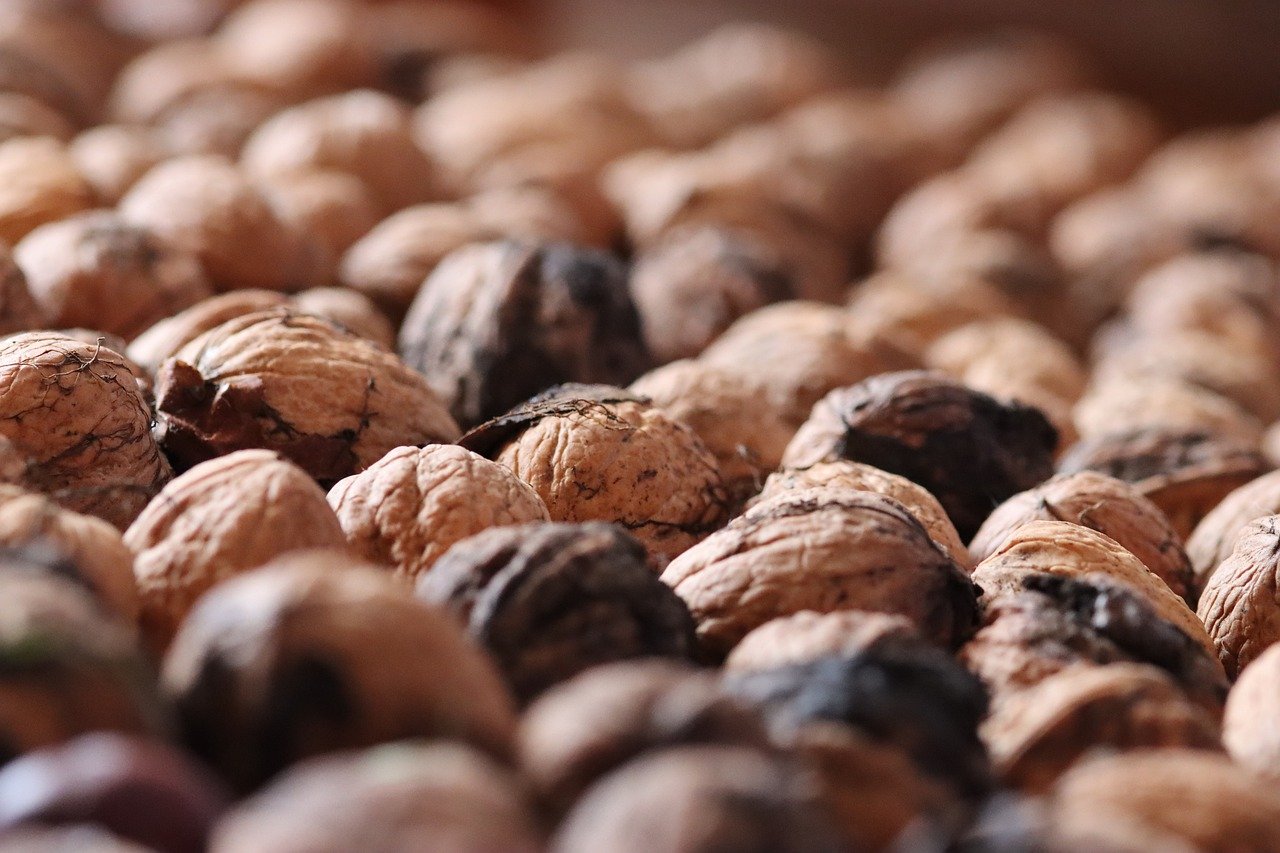 剑雨九天辅助- 黄金平台公司代理