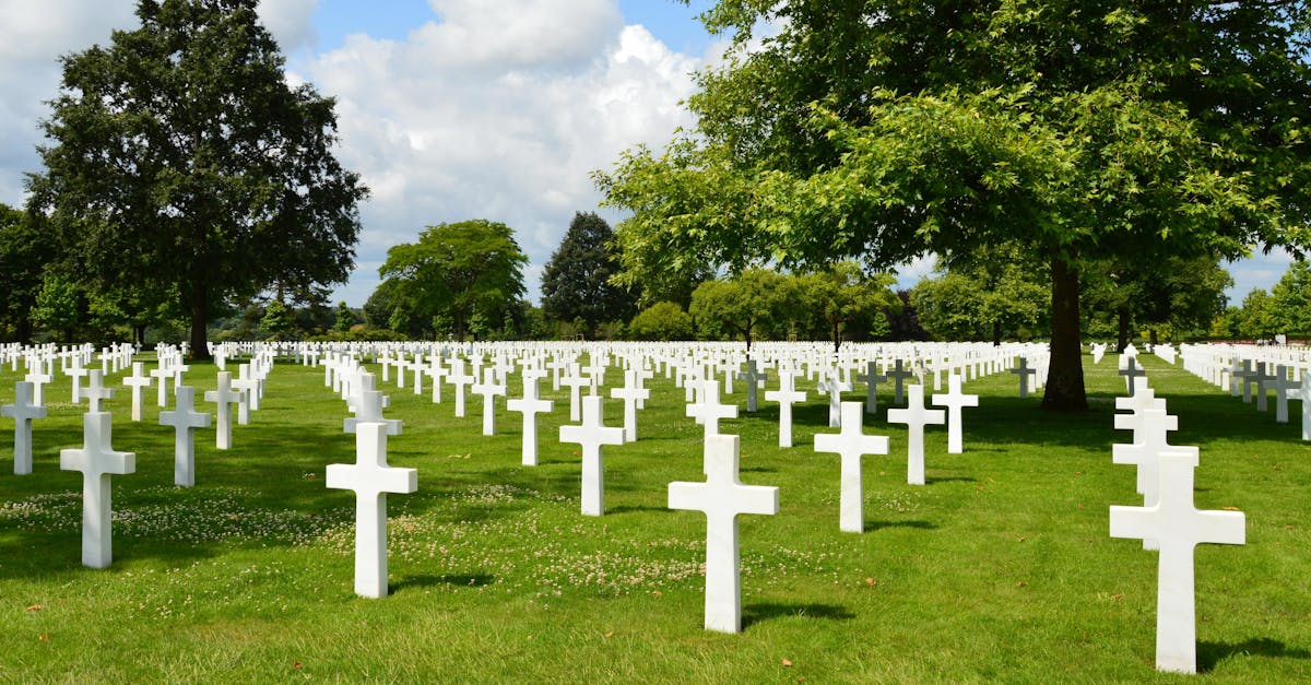 DDOS攻击测试|平阳注册代理记账工作