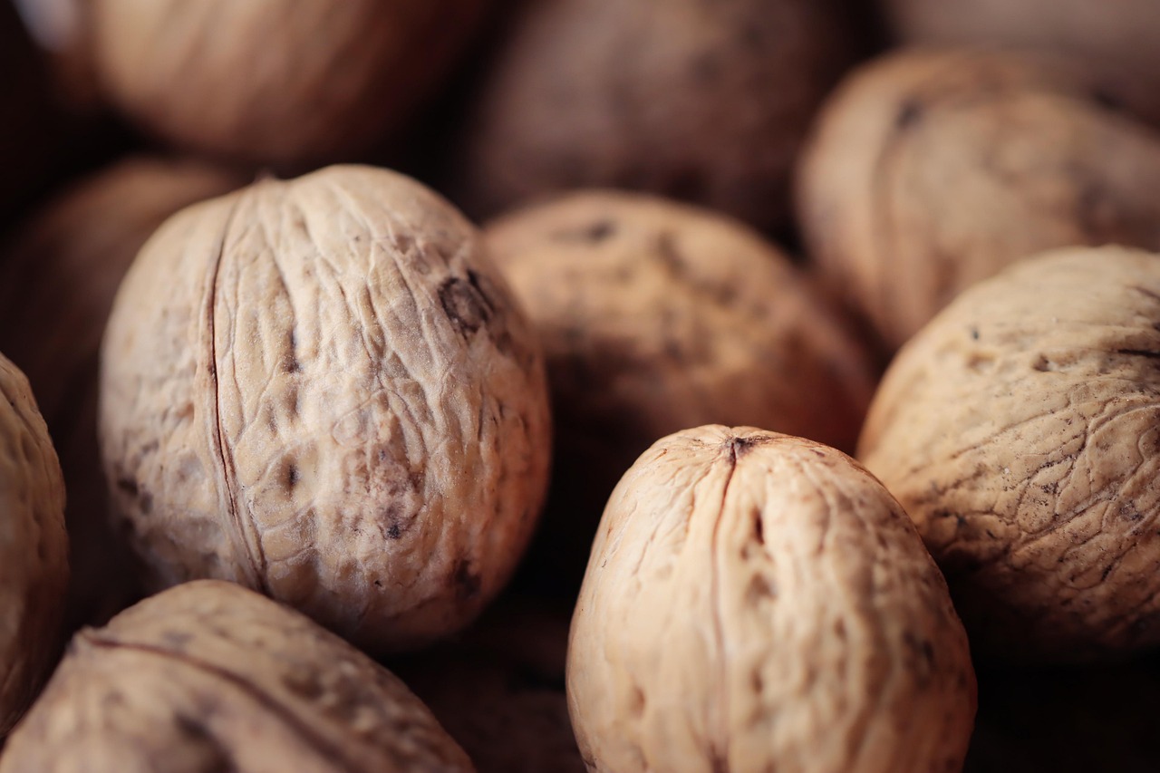 深度ip实名账号：流量卡的卡号和序列号查询方法