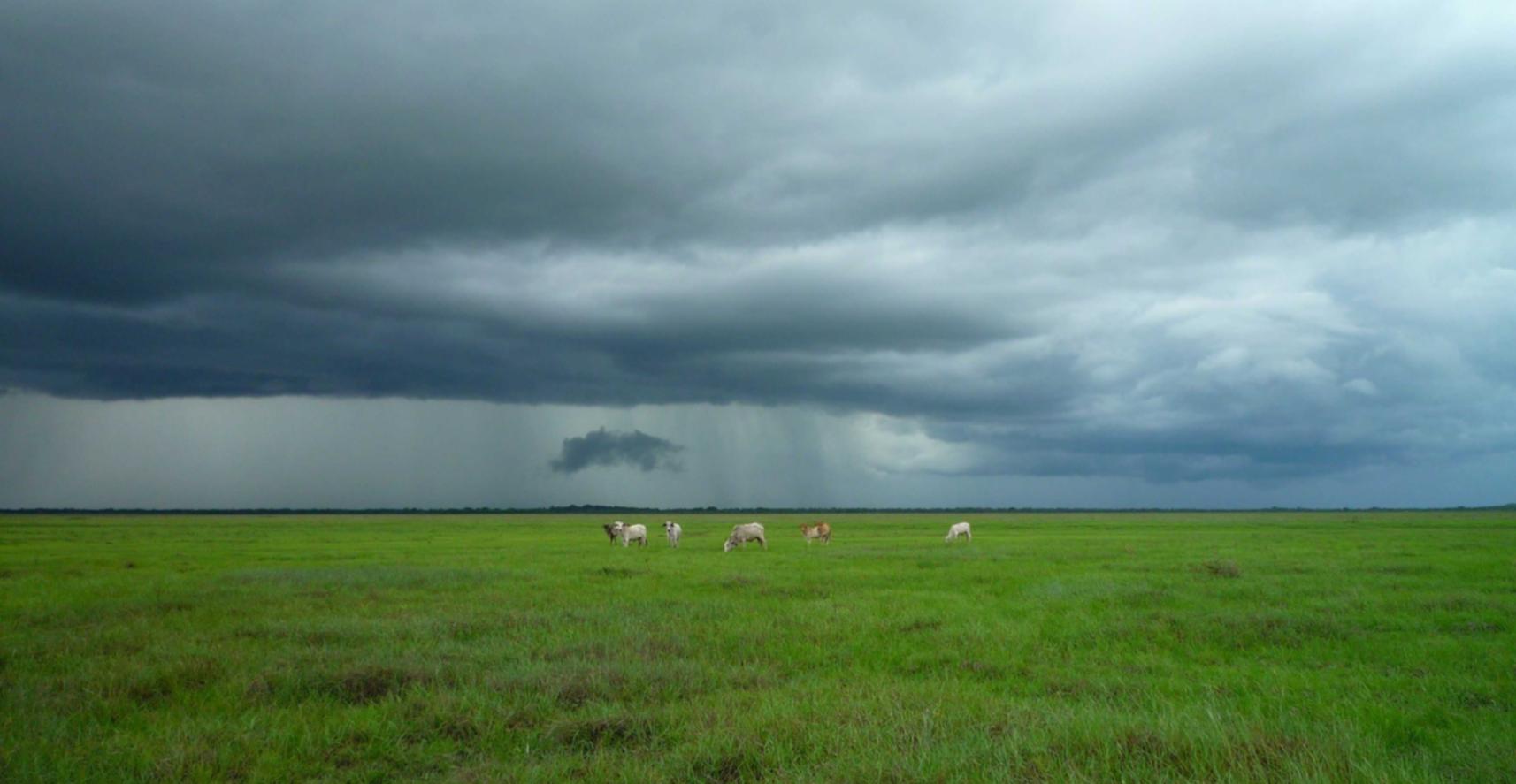 顺盈阿根廷账号注册不了微博