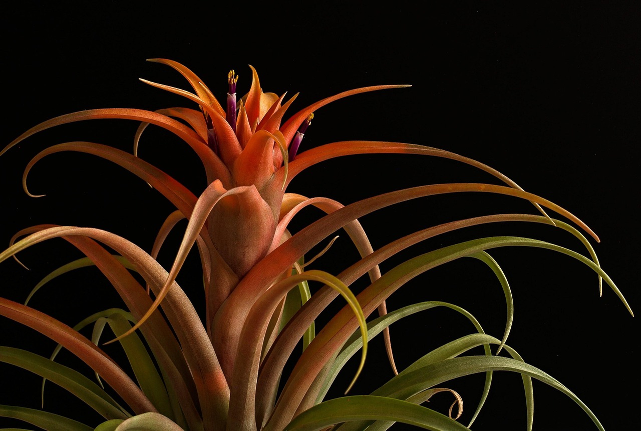 浙江普通办公桌购买平台