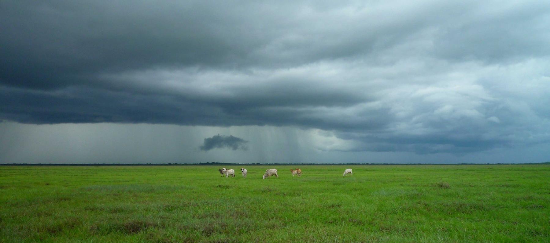 普泰移动实名账号：说说赞购买平台