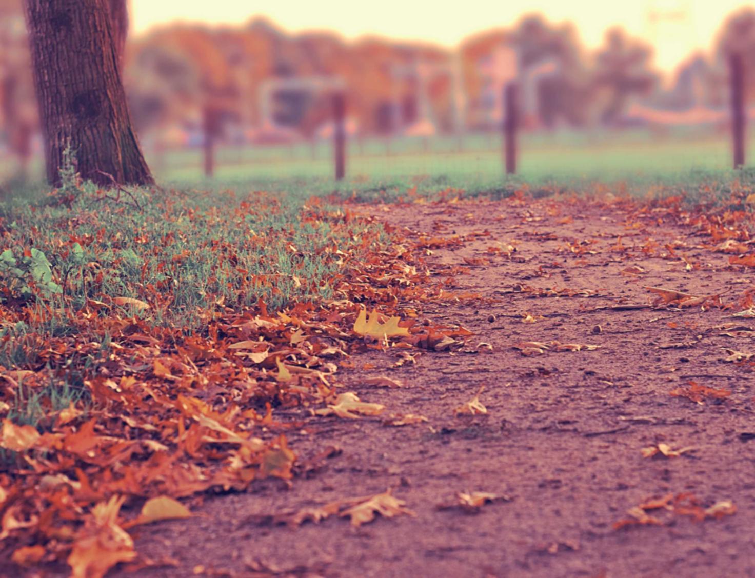 了解什么是“雇佣黑客”和“黑客市场”