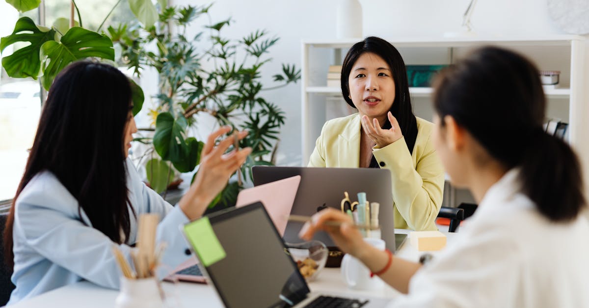 罗密欧2号（15支）（5盒）：网上买球平台开户