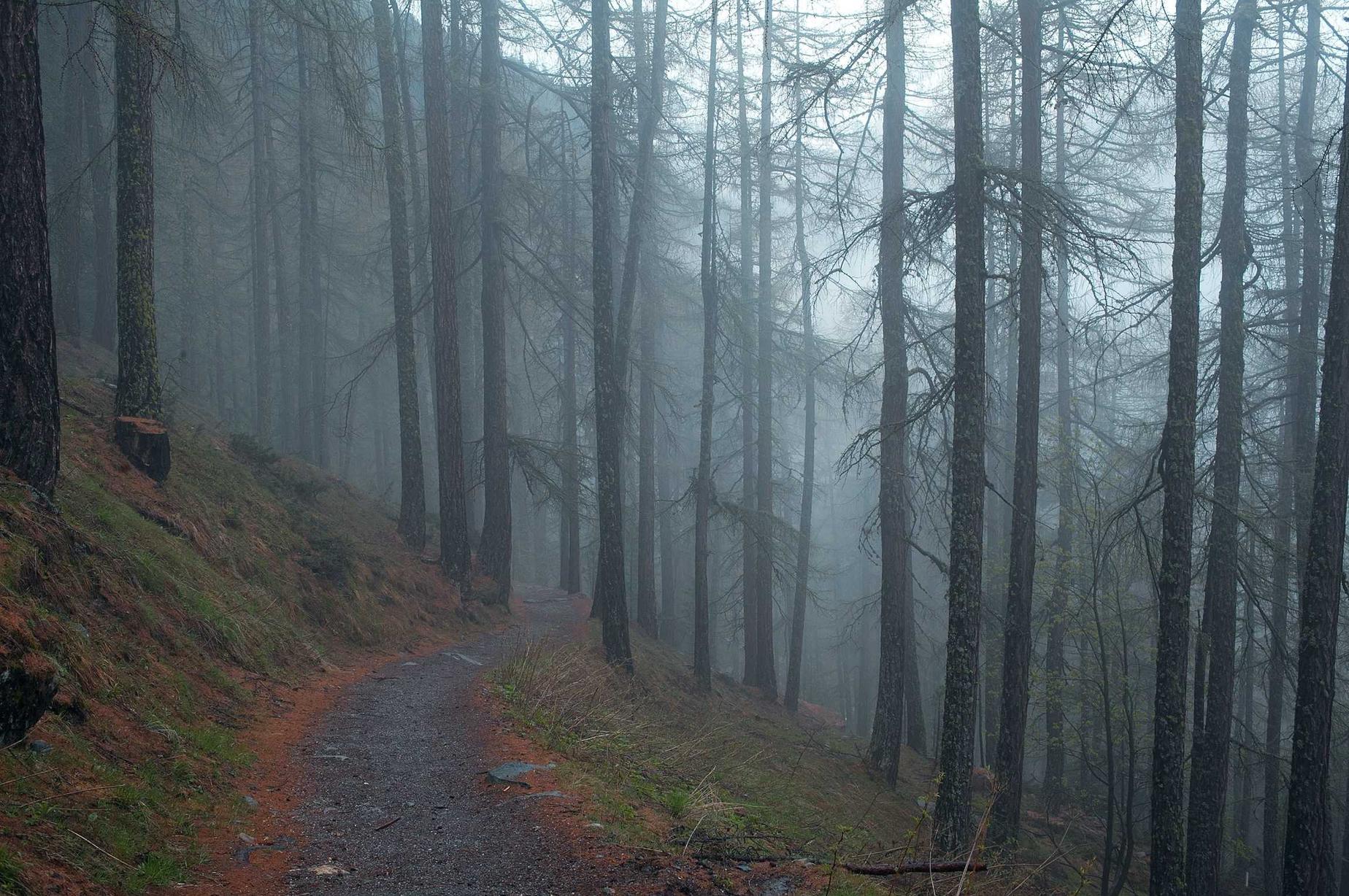 lol手游账号注册选图片